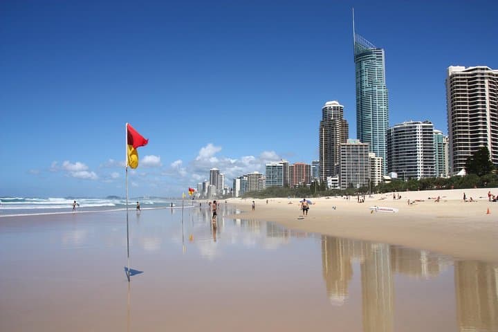 Gold Coast Day Tour from Brisbane: Wildlife Encounters, SkyPoint Lunch & Springbrook Rainforest