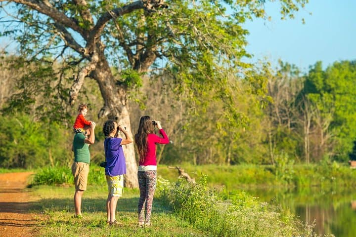 10-Day Sri Lanka Bird Watching Tour — Sinharaja, Bundala & Kithulgala photo 6