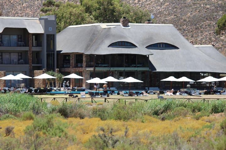 Aquila Game Drive: Big Five Day Safari from Cape Town