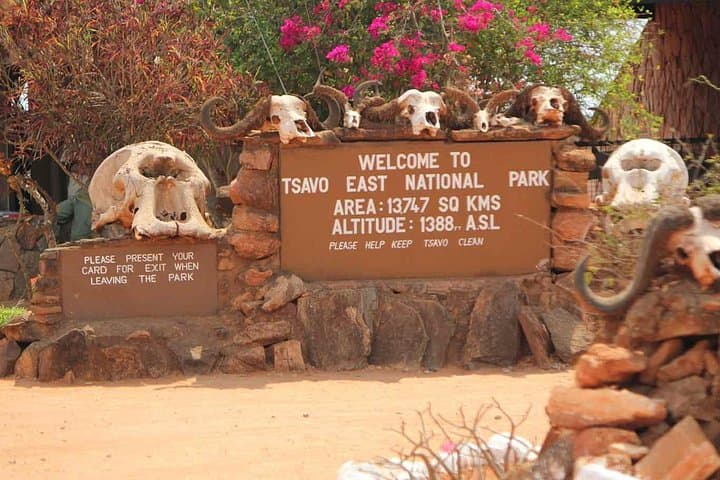 4-Day Tsavo to Amboseli Safari with Kilimanjaro Views photo 2