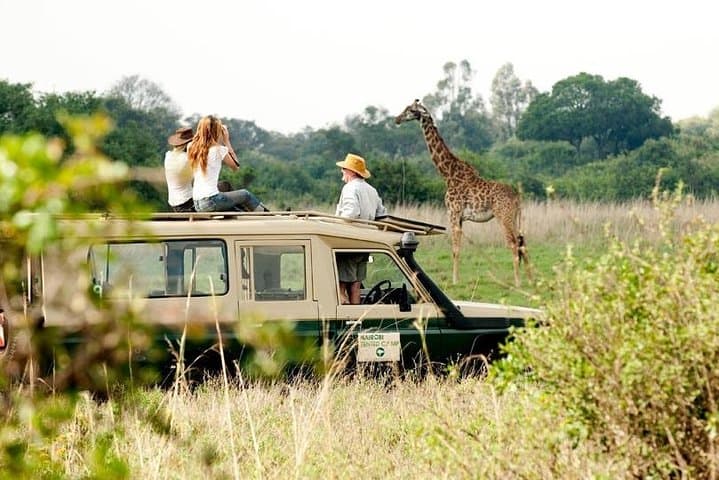 4-Day Tsavo to Amboseli Safari with Kilimanjaro Views photo 3