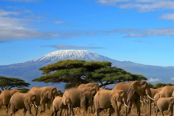 4-Day Tsavo to Amboseli Safari with Kilimanjaro Views photo 5