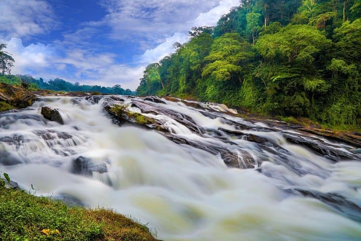 Athirapilly Waterfalls Day Trip From Kochi — Athirapilly, Vazhachal & Thumboormuzhi photo 3