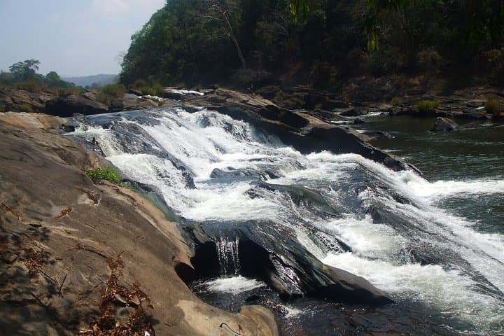 Athirapilly Waterfalls Day Trip From Kochi — Athirapilly, Vazhachal & Thumboormuzhi photo 5