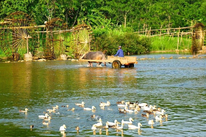 Pu Luong & Ninh Binh 3-Day Trek, Boat and Cultural Retreat from Hanoi photo 4