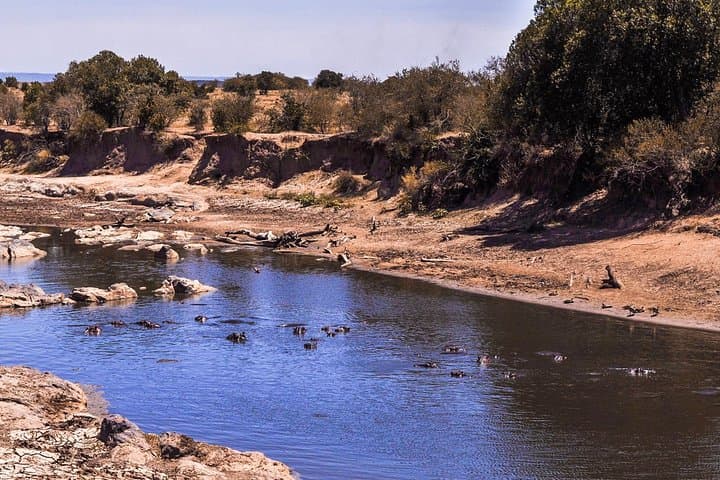 9-Day Kenya Safari: Tsavo, Amboseli & Maasai Mara with Local DALA Guides