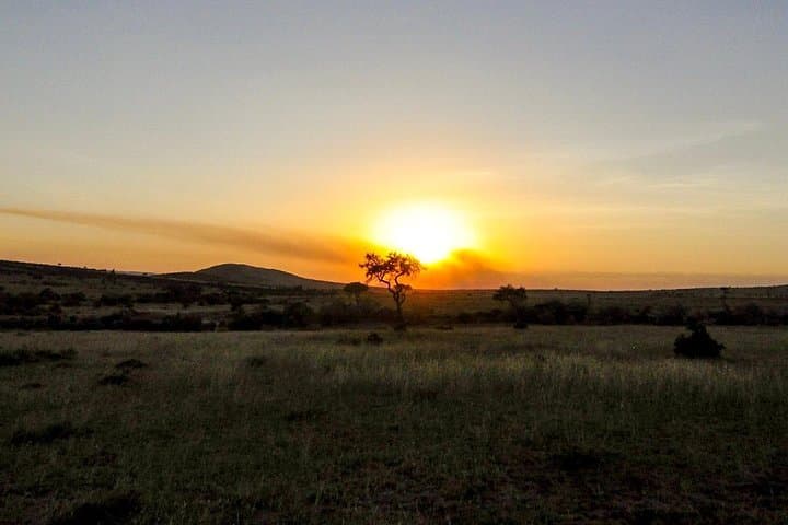 9-Day Kenya Safari: Tsavo, Amboseli & Maasai Mara with Local DALA Guides photo 5