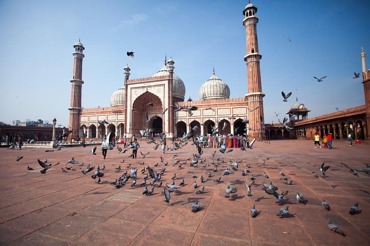 Old and New Delhi: Private Half- or Full-Day City Tour photo 3