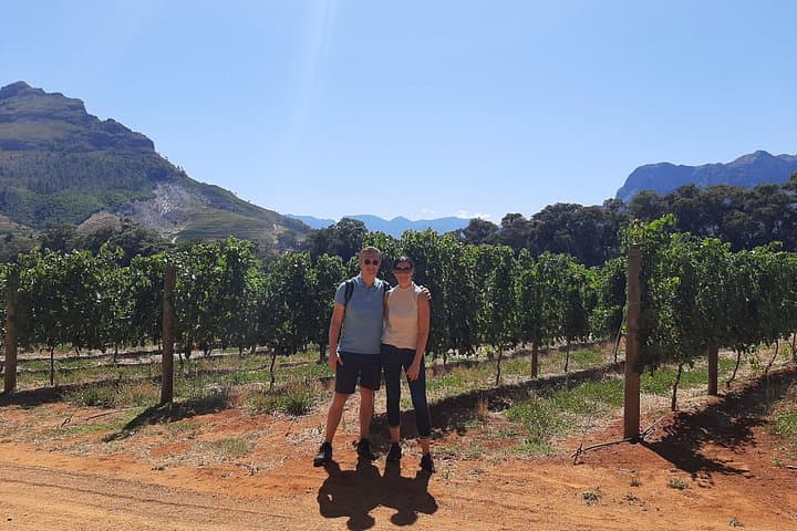 Private Winelands Tour: Stellenbosch, Franschhoek & Paarl Wine-Tasting Day Trip photo 3