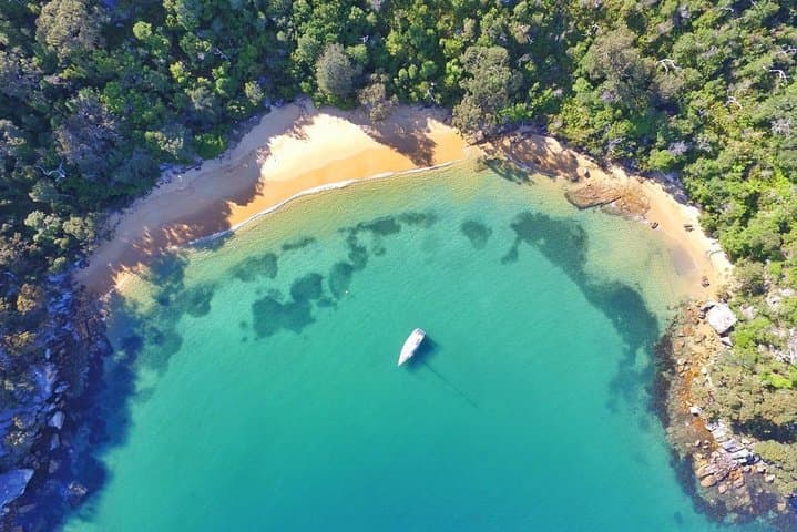 Sydney Secrets Lunch Cruise — Small-Group Harbour Tour with Beach Stops & Wildlife