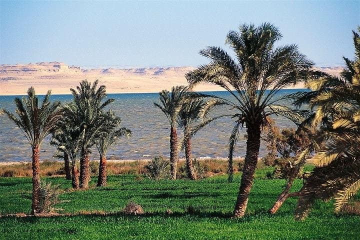 Full-Day Al-Fayoum Tour from Cairo — Wadi El Rayan, Qasr Qarun & Tunis Village photo 2
