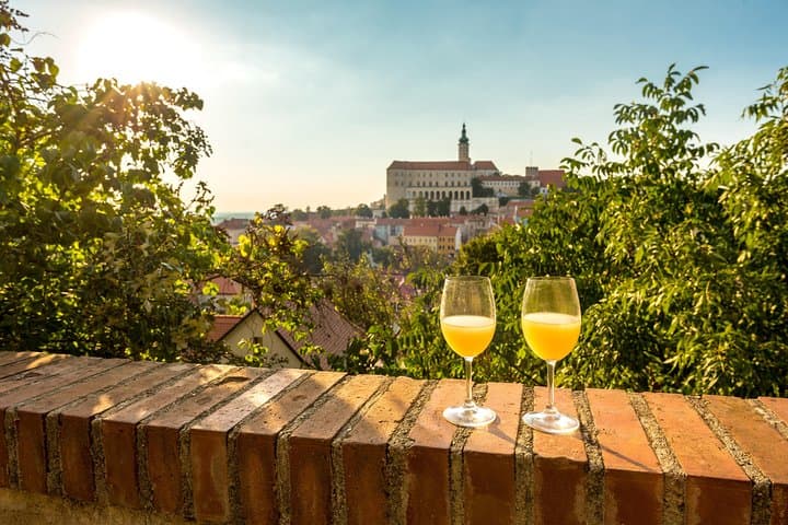 Private Czech Wine Region Tour: Lednice and Valtice Chateaux & Wine Tasting photo 3