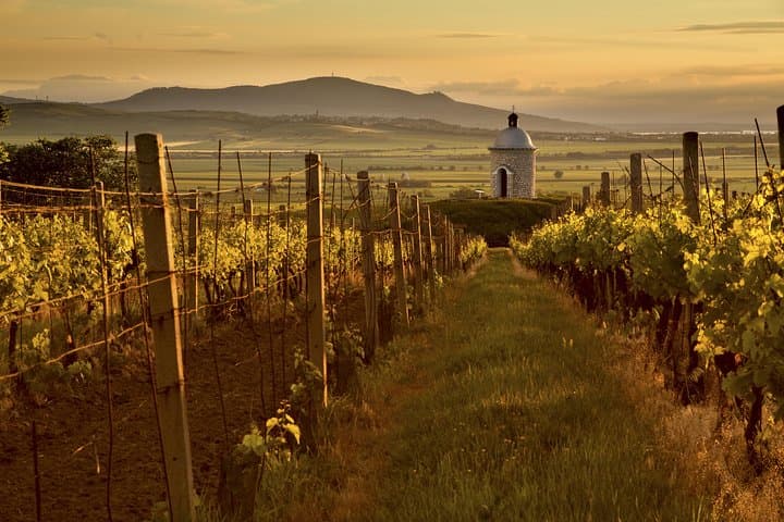 Private Czech Wine Region Tour: Lednice and Valtice Chateaux & Wine Tasting photo 4