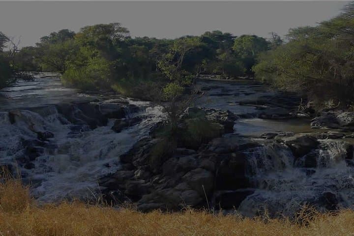 Awash National Park: 2-Day Wildlife Safari from Addis Ababa