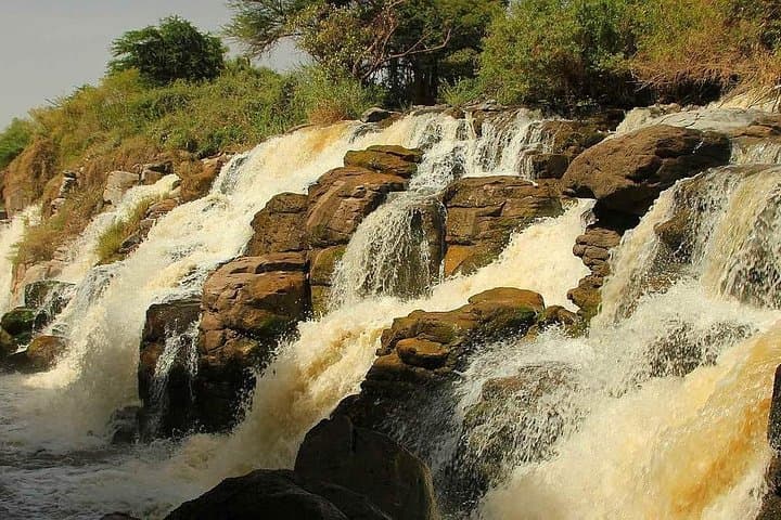 Awash National Park: 2-Day Wildlife Safari from Addis Ababa photo 3