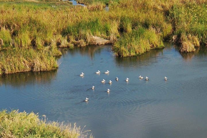 Awash National Park: 2-Day Wildlife Safari from Addis Ababa photo 4