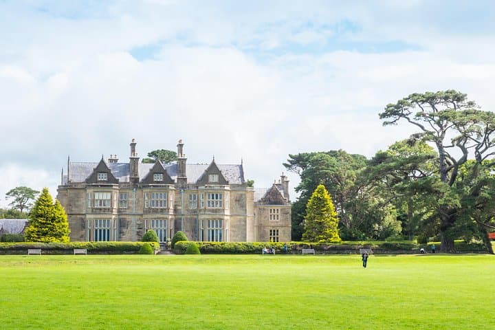 Killarney Highlights Private Tour: Ladies View, Muckross & Ross Castle in One Day photo 3