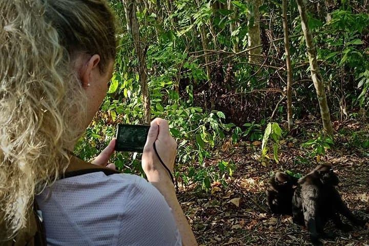 Tangkoko Day Trip: Black Macaque Encounters and Coastal Rainforest Walks photo 2