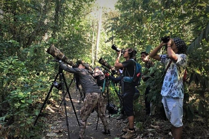 Tangkoko Day Trip: Black Macaque Encounters and Coastal Rainforest Walks photo 4