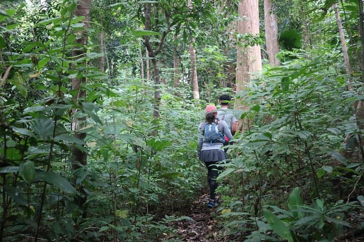Tangkoko Day Trip: Black Macaque Encounters and Coastal Rainforest Walks photo 5
