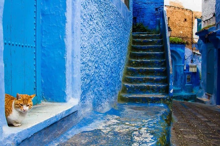 Chefchaouen Full-Day Trip from Fez: Blue Medina, Kasbah & Ras El Maa photo 3