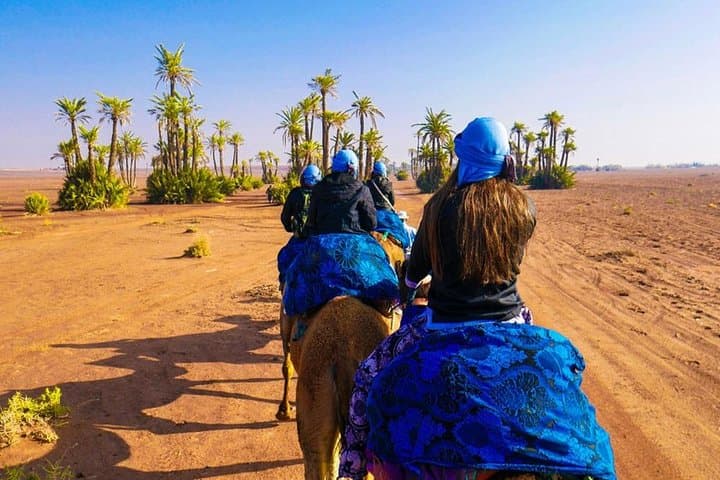 Camel Ride Marrakech: 2-Hour Palmeraie Experience on Dromedaries photo 6