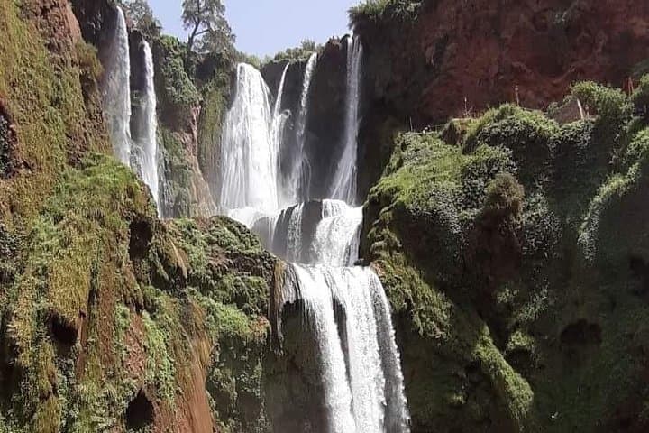 Ouzoud Waterfalls Day Trip from Marrakech — Hike, Monkeys & Tagine by the Falls photo 5