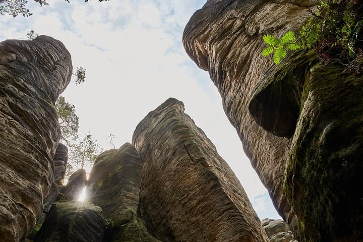 Hike Czech Paradise: Prachov Rocks & Medieval Castles from Prague photo 4
