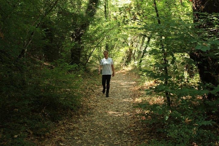 Day Trek in Vikos Gorge: Papigo & Aristi Hike to Kleidonia Bridge photo 1