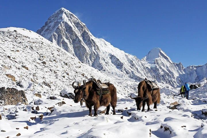 Everest View Trek: 8-Day Lukla to Namche Trekking Adventure