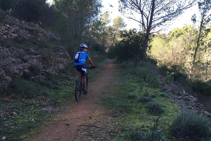 Pata Negra Mountain Bike Tour — Guided Rides Around Dénia and Montgó photo 3