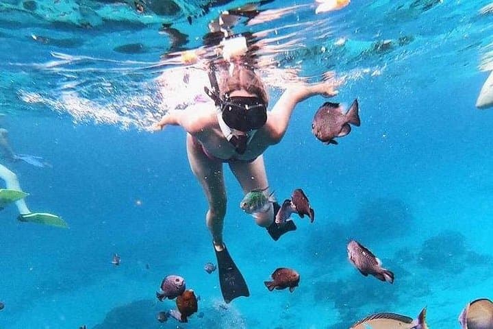 Blue Lagoon Snorkeling in East Bali: All-Inclusive Tour with Lunch photo 3