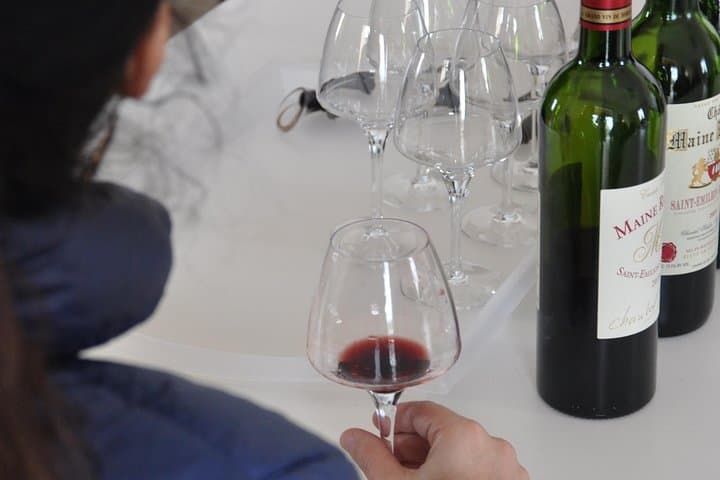 Private Half-Day Saint-Émilion Wine Tour with a Local Sommelier photo 6