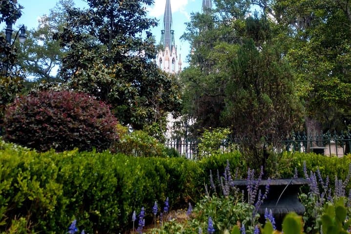 Savannah Botanical Walking Tour — Columbia Square to Forsyth Park photo 5