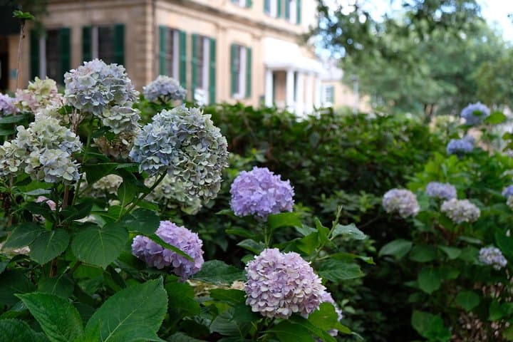 Savannah Botanical Walking Tour — Columbia Square to Forsyth Park photo 4