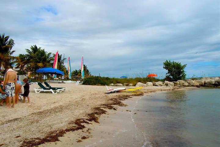 Miami to Key Largo & Islamorada: Private 12‑Hour Coastal Road Trip photo 5