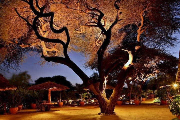 3-Day Amboseli Safari: Kilimanjaro Views & Classic East African Game Drives photo 1