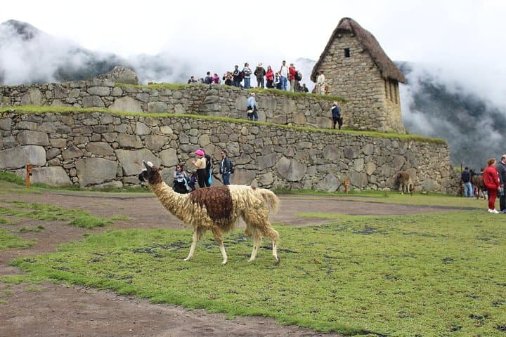 Machu Picchu Day Trip from Cusco: Guided Inca Citadel Tour photo 3
