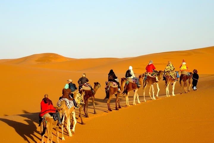 Overnight in the Zagora Desert: 1-Night Sahara Camp, Camel Ride & Starry Skies photo 1