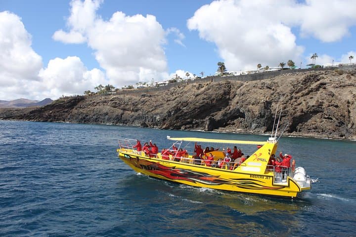 Dolphin Mini Cruise from Puerto del Carmen Marina (Lanzarote) photo 3