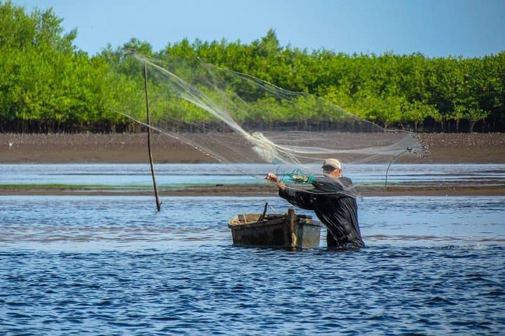 Monterrico Black Sand Beach & Mangrove Boat Tour with Artisanal Fishing and Lunch photo 6