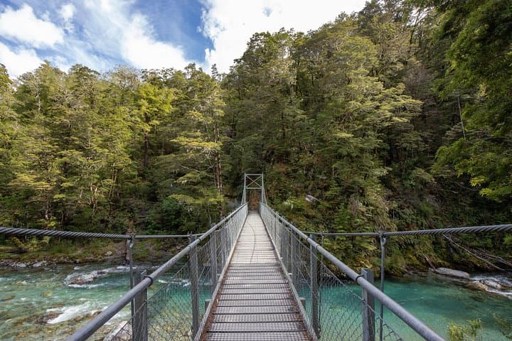 Explore New Zealand’s Routeburn Track: Full-Day Guided Hike from Queenstown photo 5