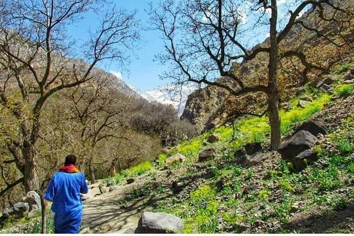 Summit the Atlas Mountains: Day Hike & Camel Ride from Marrakech photo 3