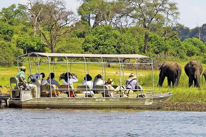 Chobe Day Trip From Livingstone: River Cruise & Game Drive in Botswana