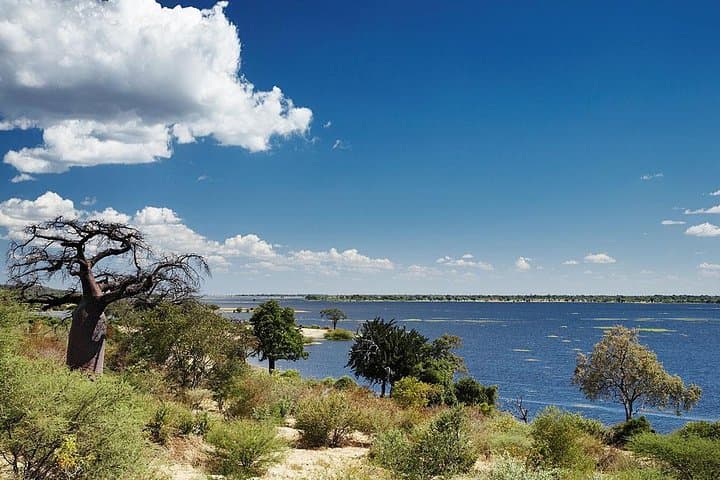 Chobe Day Trip From Livingstone: River Cruise & Game Drive in Botswana photo 2