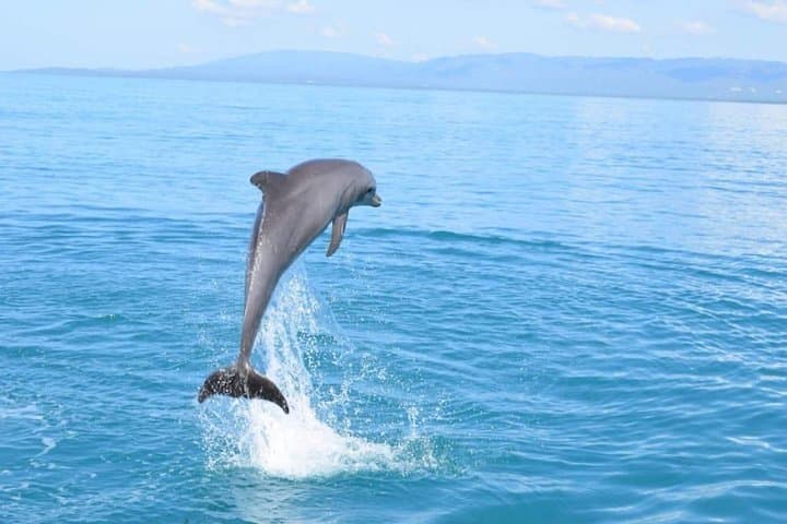 3-Day Jamaica Cultural Tour: Appleton Estate, Black River Safari & Negril photo 4
