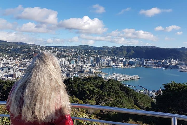 Private Wellington Full-Day Sightseeing Tour: Cable Car, Weta Cave & Coastal Views photo 1
