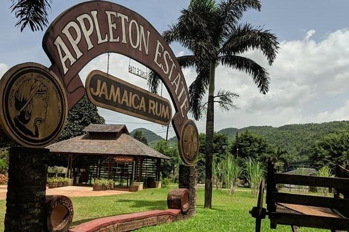 3-Day Jamaica Cultural Tour: Appleton Estate, Black River Safari & Negril photo 3
