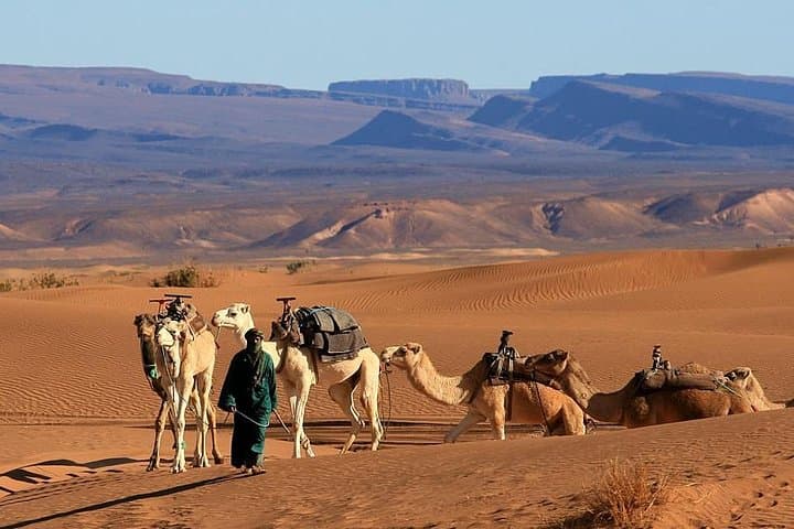 Sunrise Camels and Kasbahs: 2-Day Private Marrakech to Zagora Desert Tour photo 4
