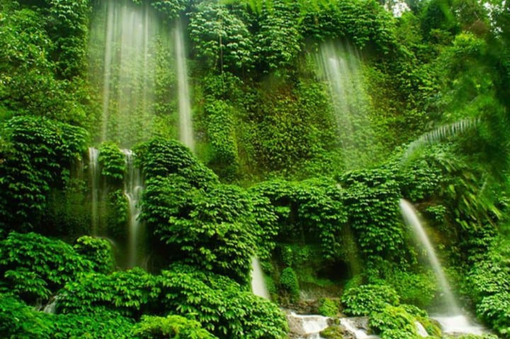 Benang Stokel & Kelambu Waterfall Day Tour from Lombok